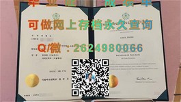 《荷兰屯特大学文凭样本解析：真实成绩单展示与留学参考》）