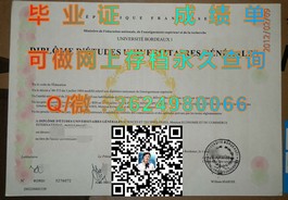 《马来西亚国民大学文凭深度解析：毕业证、成绩单样本大揭秘》）