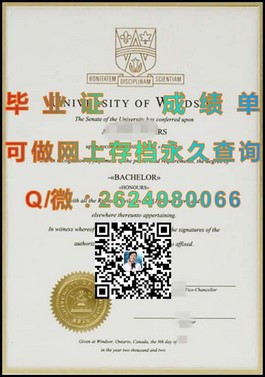 《揭秘利默里克大学真伪文凭：成绩单样本深度解析，留学必备攻略》）