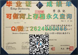 《利莫瑞克理工学院真实毕业证文凭成绩单样本大揭秘，留学必备指南！》）