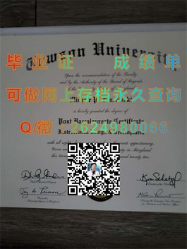 《揭秘华威大学文凭样本：成绩单详解，留学必备指南》）