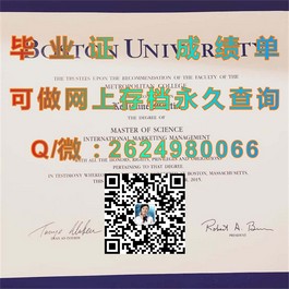 《揭秘苏塞克斯大学真文凭样本：成绩单详解，留学必备攻略》）