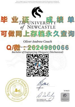 《东安格利亚大学文凭样本深度解析：成绩单详解，留学必备参考》）
