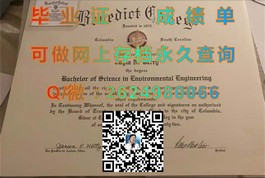 《伦敦城市大学文凭样本详解：如何辨识真伪及成绩单细节揭秘》）