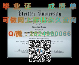 《揭秘利兹大学真文凭：成绩单样本大曝光，留学必备参考！》）