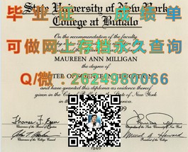 《基尔大学文凭样本解析：成绩单详解，留学认证必备参考》）
