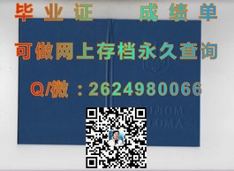 《利莫瑞克理工学院文凭揭秘：毕业证、成绩单样本深度解析》）