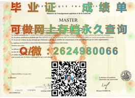 《揭秘安德烈洛朗多学校文凭样本：真实成绩单展示，留学参考必备》）