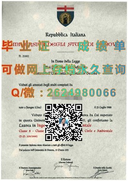 《纽卡斯尔大学文凭样本大揭秘：真实成绩单展示与留学参考》）