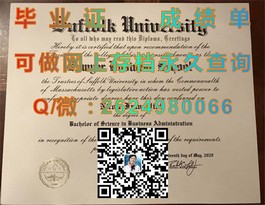 《纽卡斯尔大学文凭样本深度解析：成绩单、毕业证一网打尽》）