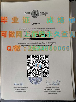 《南澳大学毕业证样本解析：文凭与成绩单详解，留学必备参考》）