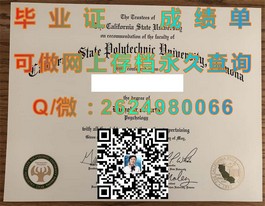《昆士兰理工大学毕业证样本大揭秘：文凭成绩单一览，留学必备攻略》）