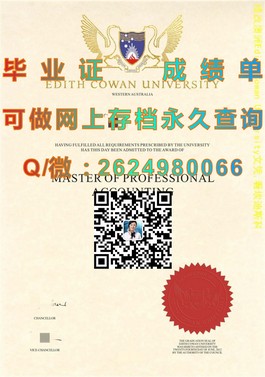 《中央昆士兰大学文凭样本详解：成绩单解析与获取指南》）