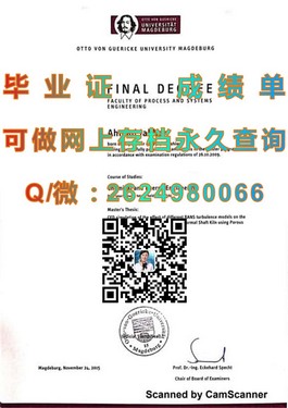 《深度揭秘：南安普顿大学文凭样本，成绩单详解，留学必备攻略》）