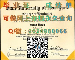 《深度揭秘：萨里大学毕业证、文凭及成绩单样本大公开，留学必备！》）
