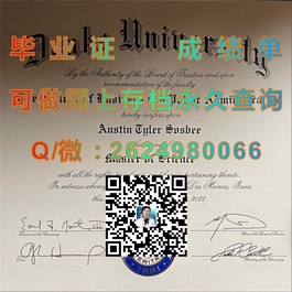 《深度揭秘：里丁大学官方文凭样本，成绩单详解，留学必备指南》）