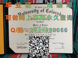 《西悉尼大学文凭样本深度解析：成绩单样式详解及获取途径》）
