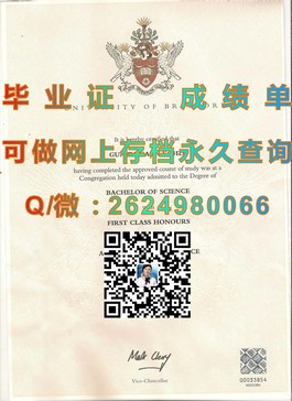 《英国开放大学文凭样本详解：成绩单解读与申请指南》）