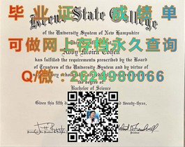 《怀卡托理工学院毕业证样本解析：文凭与成绩单全揭秘》）