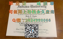 《纽卡斯尔大学文凭样本揭秘：成绩单样式详解，助你了解真实学历认证》）