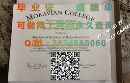 《伯明翰大学文凭样本大揭秘：如何辨别真伪，获取官方成绩单》）