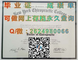 《揭秘新南威尔士大学文凭样本：真实成绩单解析与获取方法》）