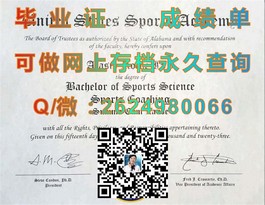 《揭秘弗林德斯大学真文凭：成绩单样本详解，留学必备攻略》）