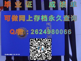 《纽卡斯尔大学文凭全解析：成绩单样本大揭秘，留学必备攻略！》）