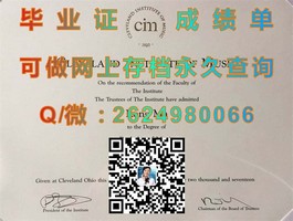 《波士顿学院文凭样本大揭秘：真实成绩单解读与申请指南》）