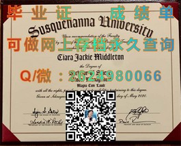 《深度揭秘：斯塔福德郡大学文凭样本，成绩单详解，留学必备攻略》