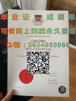 《斯旺西大学文凭样本大揭秘：成绩单格式详解，助你轻松识别真伪》