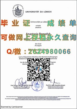 《伍斯特大学文凭深度解析：真实样本展示，留学必备指南》