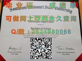 《揭秘维多利亚大学真文凭：成绩单样本解析，助你轻松识别学历真伪》）