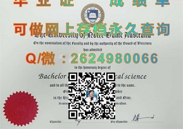 《深度揭秘：新英格兰大学文凭样本，完整成绩单解析，留学必备攻略》）