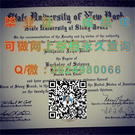 《哈德斯菲尔德大学文凭样本揭秘：真实成绩单解析与获取指南》）