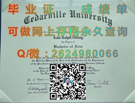 《白金汉大学文凭样本解析：详尽解读毕业证与成绩单样式》）