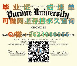 《苏塞克斯大学官方文凭样本揭秘：成绩单与毕业证详解》）