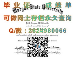 《伦敦城市大学文凭样本详解：成绩单构成与获取指南》）