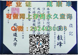 《维多利亚大学文凭样本深度解析：成绩单揭秘，留学必备实用信息》）