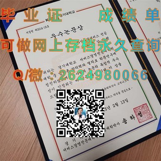 《梅努斯大学文凭：开启你的国际学术之旅，成就非凡未来》