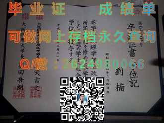 《利莫瑞克理工学院文凭：开启你的国际教育之旅》）