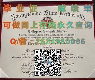 《爱尔兰卡罗理工学院文凭：全球认可的学术成就，开启您的国际职业之路》）
