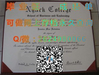 《利莫瑞克理工学院文凭：开启你的全球教育之旅》）