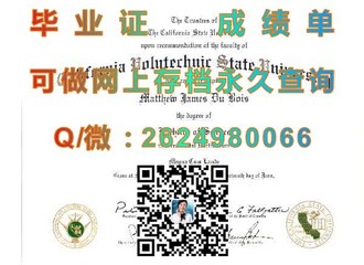 拉筹伯大学文凭：解锁全球认可的学术成就之钥）
