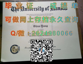 《新英格兰大学文凭：揭秘名校背后的实力与价值》）