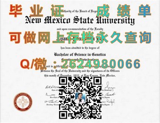 《布鲁奈尔大学文凭：开启未来职业生涯的关键钥匙》）