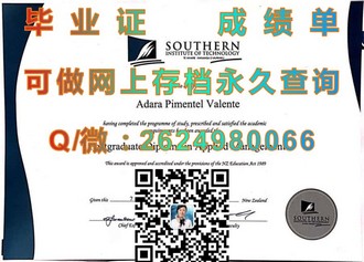 《诺丁汉大学文凭：开启全球认可的学术之旅》）
