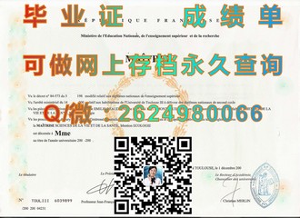 约克大学文凭：开启你的国际学术之旅——揭秘全球认可的学位优势）
