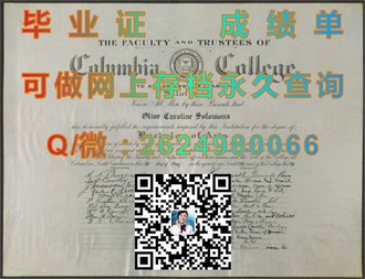 《里丁大学文凭：成就国际视野，助力职业生涯的璀璨明珠》）