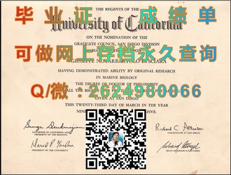 《伦敦南岸大学文凭：揭开全球认可的教育成就与职业发展的钥匙》）